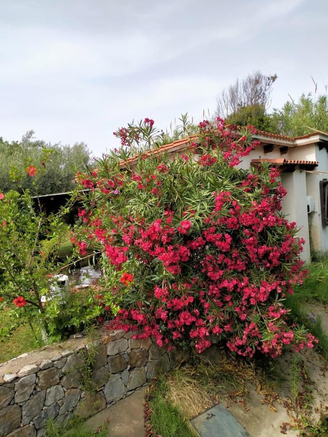 Casa Armas Pension Buggerru Buitenkant foto